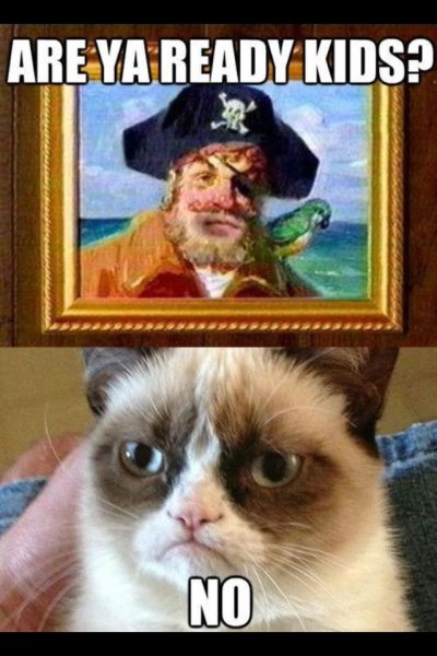 Мемы с недовольным котом