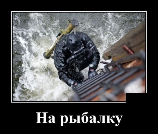 Демотиваторы свежие