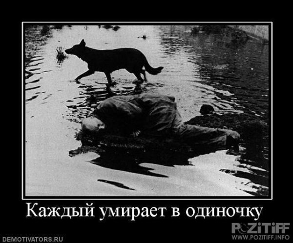 Забор прикол