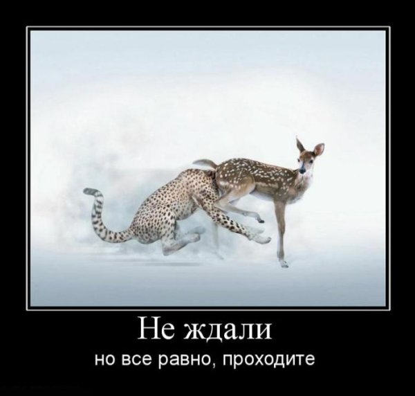 Я знаю короткую дорогу