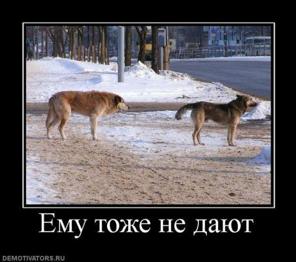Носки в сандалях юмор