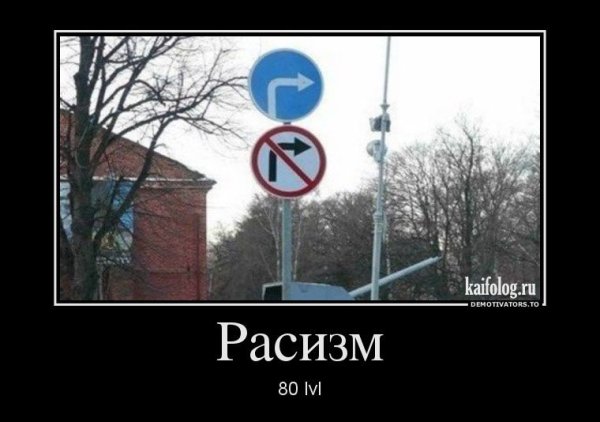 Пьяный за рулем демотиватор