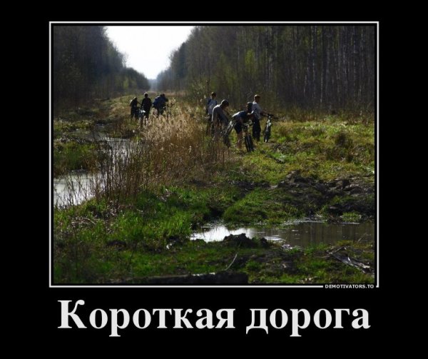 Нестандартный юмор