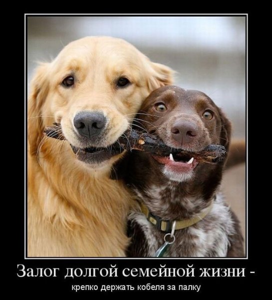 Семейная жизнь юмор
