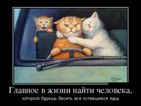 Главное в жизни найти человека которого будешь бесить