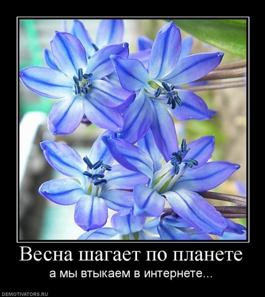 Весна пришла приколы