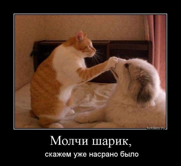 Молчи скажем насрато было