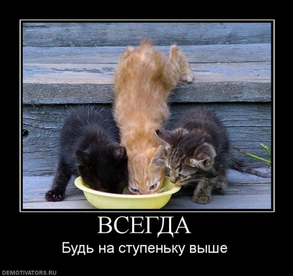 Демотиваторы с животными