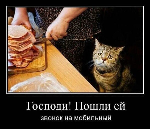 Картинки прикольные демотиваторы