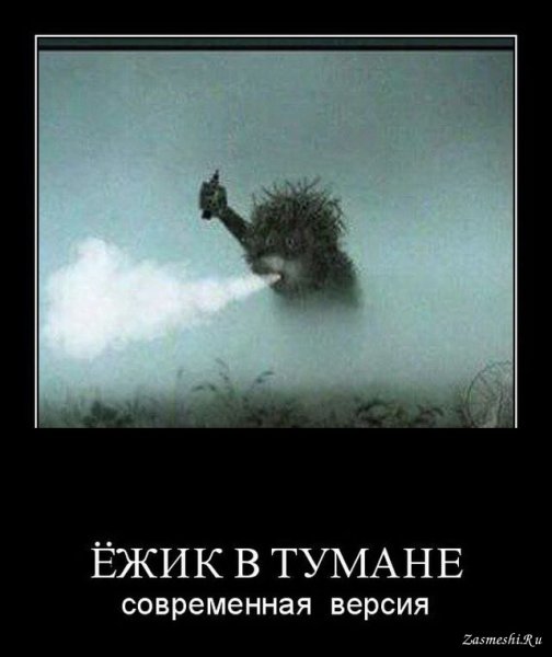 Ёжик в тумане прикол