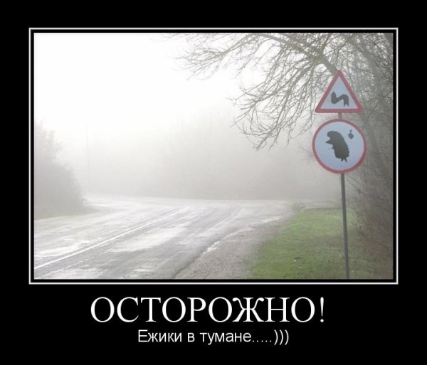 Ёжик в тумане демотиваторы