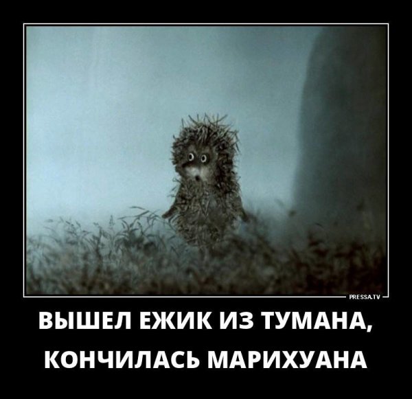 Вышел Ёжик из тумана кончилась
