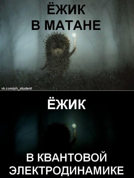 Ёжик в матане
