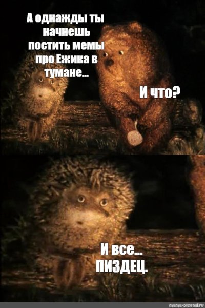 Ёжик в тумане прикол