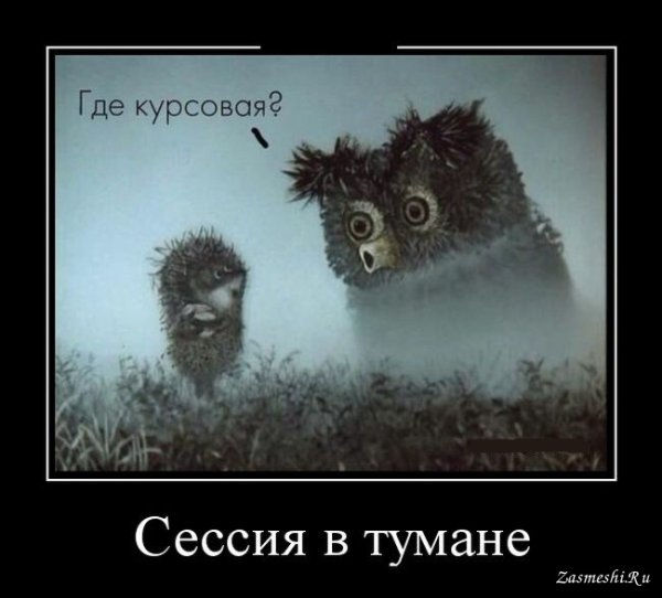 Ёжик в тумане демотиваторы