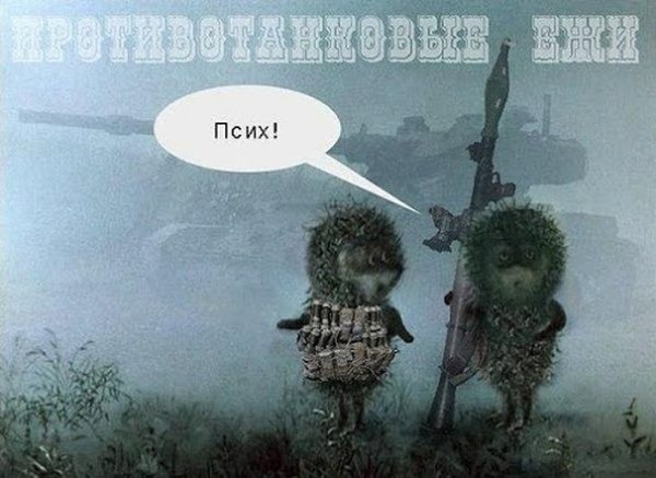 Ежик в тумане псих