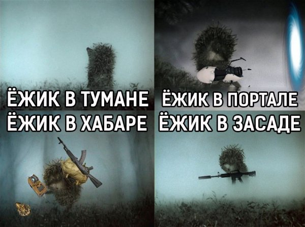 Ёжик в тумане мемы