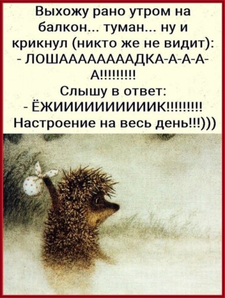 Вышел Ёжик из тумана