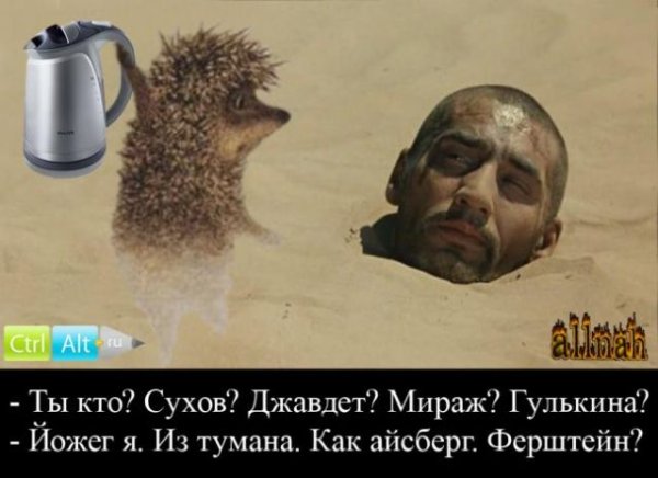 Ежик в тумане юмор