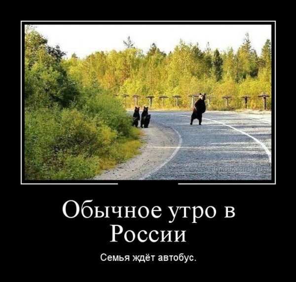 Прикольные демотиваторы