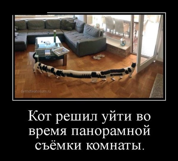 Демотиваторы смешные