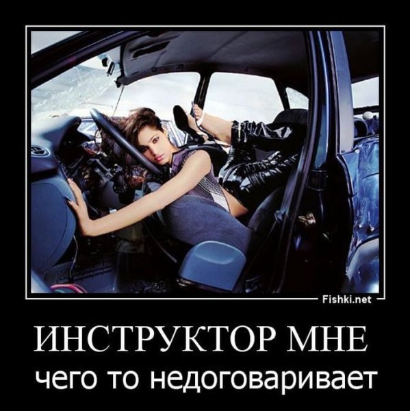 Автошкола приколы