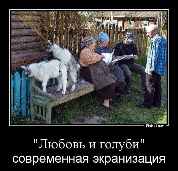 Любовь и голуби демотиваторы