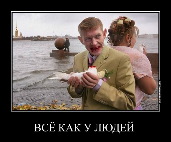 Голубцы демотиватор