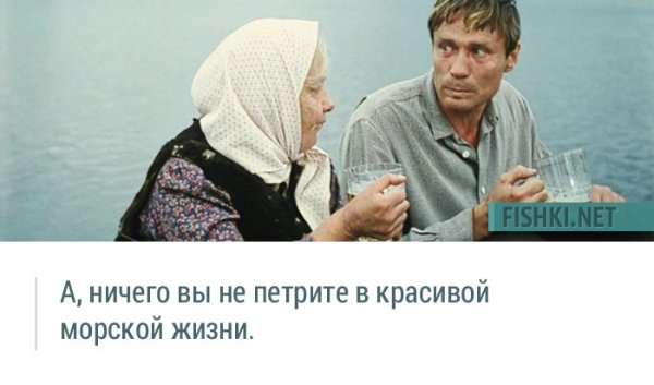 Фильм любовь и голуби цитаты