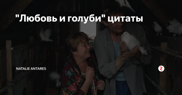 Кака така любовь цитата любовь и голуби