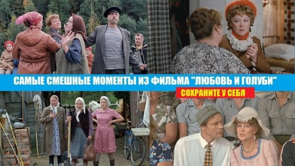 Мемы из фильма любовь и голуби