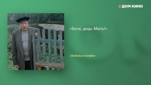 Любовь и голуби беги дядь Мить
