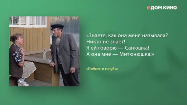 Фразы из фильма любовь и голуби