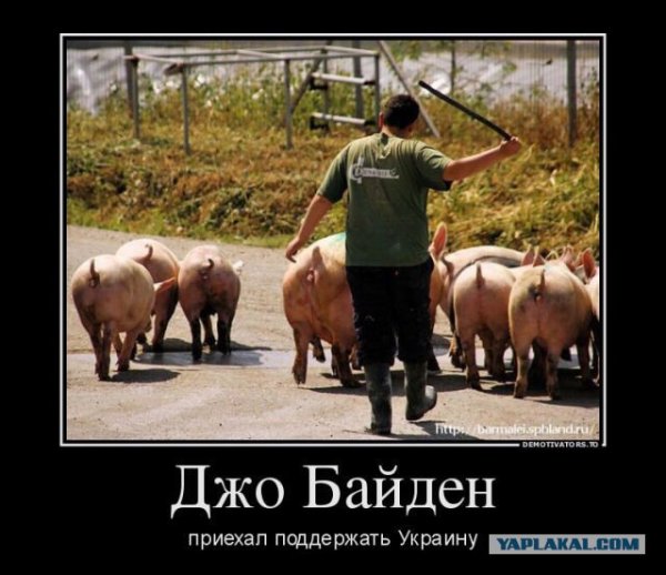 Фотожабы на Байдена