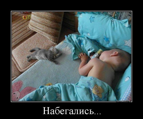 Спокойной ночи демотиватор