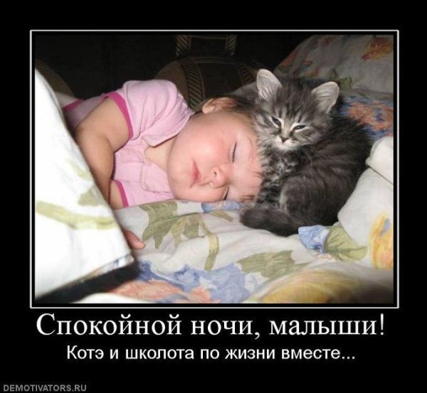 Демотиваторы спокойной ночи прикольные