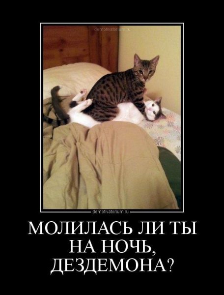 Демотиваторы спокойной ночи прикольные