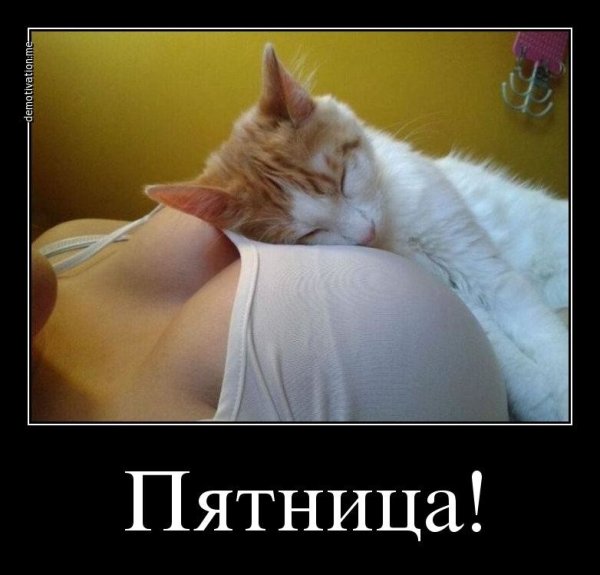 Демотиваторы для поднятия настроения мужчине