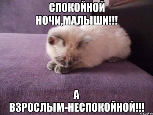 Спокойной неспокойной ночи