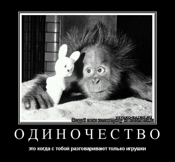 Спокойной ночи обезьяна