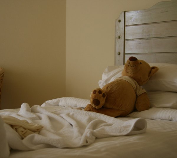 Одеяло с мишками