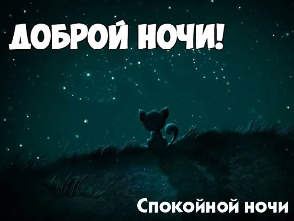 Спокойной ночи картинки прикольные
