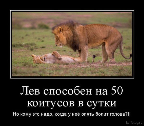 Демотиваторы про Львов