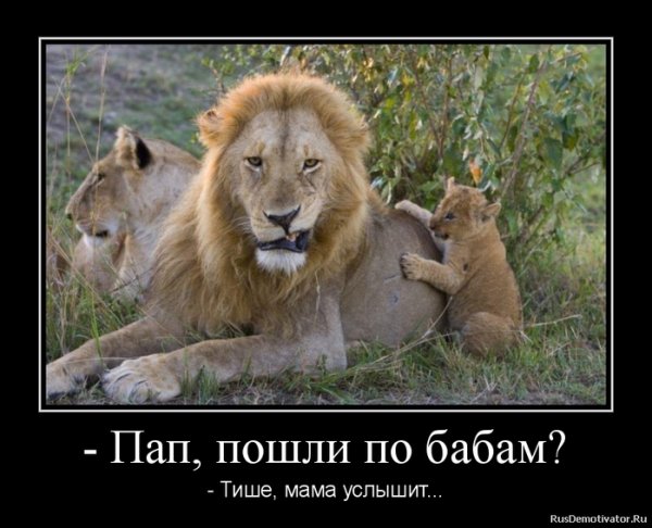 Смешные демотиваторы про Львов