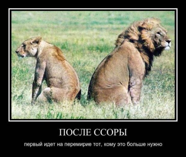 Демотиваторы про ссоры