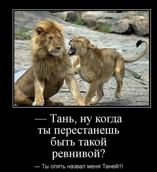 Шутки про Львов