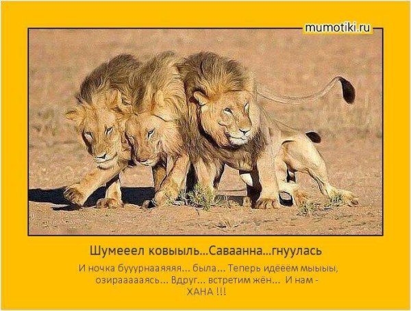 Шутки про Львов