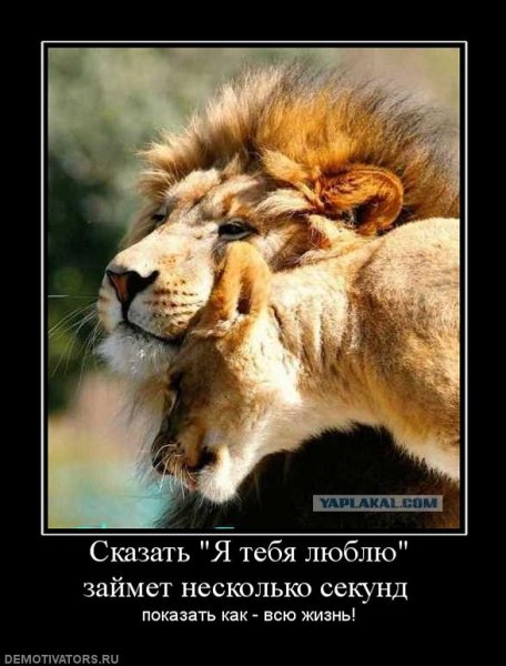 Демотиваторы про Львов