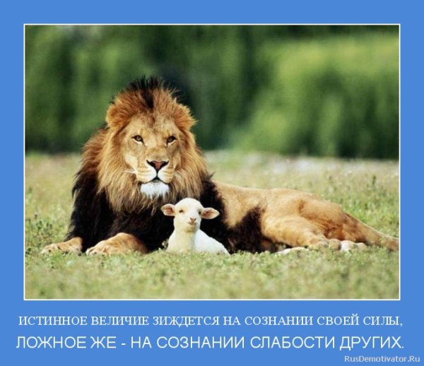 Демотиваторы про Львов