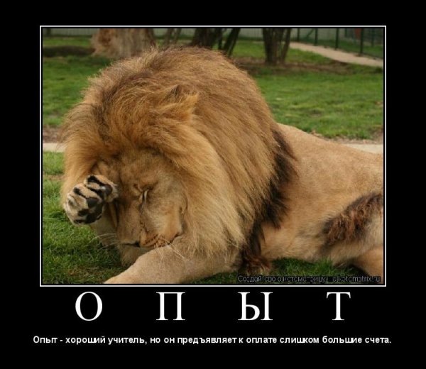 Лев демотиватор